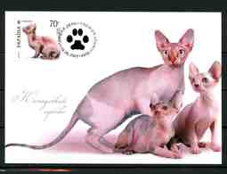 Ukraine 2007 MiNr. 872 Katzenrassen Domestic Cats I Sphynx Cat  MC II - Chats Domestiques