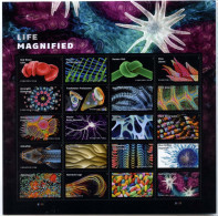 Etats-Unis / United States (Scott No.5802 - Life Magnified) [**] Pane Of 20 - Ungebraucht