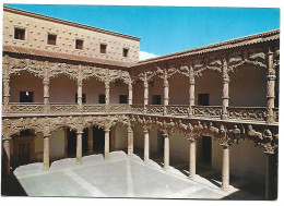 PALACIO DEL DUQUE DEL INFANTADO, PATIO DE LOS LEONES.-  GUADALAJARA.- ( ESPAÑA ) - Guadalajara