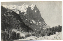 Wetterhorn Vom Kurhaus Schwarzwaldalp Aus - Wald