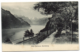 Hôtel Bellevue - Seelisberg - Seelisberg