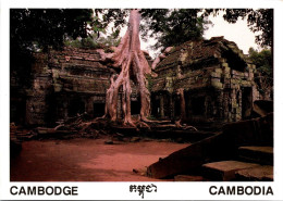 10-10-2023 (3 U 46) Cambodia - Siem Reap (3 Postcards) UNESCO - Cambodge
