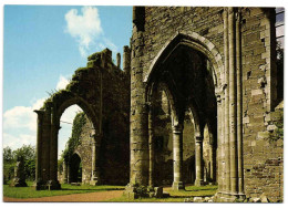 Ruines De L'Abbaye D'Aulne - Thuin