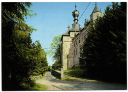 Chimay - Vue Arrière Du Château - Chimay