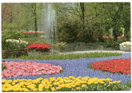 Keukenhof Lisse-Hooland - Lisse