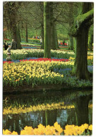 Keukenhof Lisse-Holland - Lisse