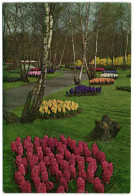 Keukenhof Lisse-Holland - Lisse