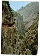 Picos De Europa - Garganta De Cares Y Camino De Cain E Puente Poncebos - Asturias (Oviedo)