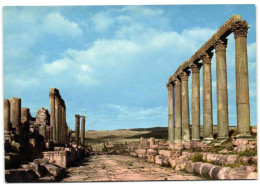 Street Of The Colums - Jerash - Jordanie