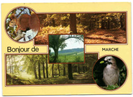 Bonjour De Marche - Marche-en-Famenne