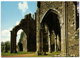 Ruines De L'Abbaye De L'Aulne - Thuin