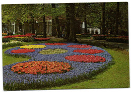 Keukenhof - Lisse-Holland - Lisse