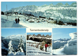 Flumserberge - Tannenbodenalp - Berg