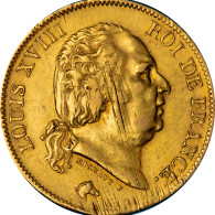 Restauration - 40 Francs Or Louis XVIII 1817 Paris - 40 Francs (oro)