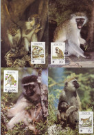 St. Kitts 1986 MiNr. 184 - 7 St. Christopher St. Kitts Green Monkeys (Cercopithecus Aethiops Sabaeus) WWF 4 MC 35,00 € - Cartes-maximum