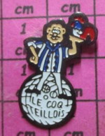 921 Pin's Pins / Beau Et Rare / SPORTS / PETANQUE LE COQ TEILLOIS - Petanque