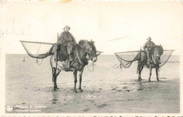 METIERS - Pêcheurs De Crevettes - Chevaux - Plage - La Panne - Carte Postale Ancienne - Pesca