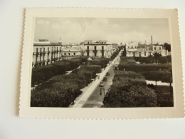 TRANI   PUGLIA   VIAGGIATA  COME DA FOTO  IMM.LUCIDA - Trani