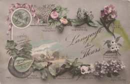 FLEURS - Le Langage Des Fleurs - Colorisé - Carte Postale Ancienne - Blumen