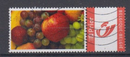 BELGIË - OBP - 2004 - Nr 3274 - (FRUIT) - Usati