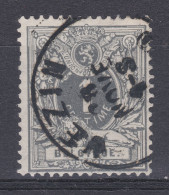 N° 43 VEZIN - 1869-1888 Lying Lion