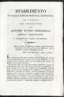 Stabilimento Acque E Fanghi Artificiali In Torino Laboratorio Borsarelli 1800 Ca - Altri & Non Classificati