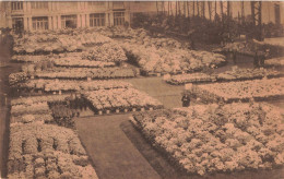PHOTOGRAPHIE - Floralies Gantoises De 1928 - Carte Postale Ancienne - Photographie