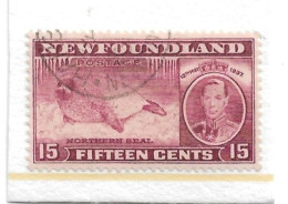 NEWFOUNDLAND 1937 15c SG 263c Perf 13½ FINE USED Cat £13 - 1908-1947