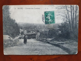 CPA D95 Butry Chemin Des Carrières - Butry