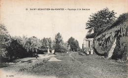 St Sébastien Sur Loire * Paysage à La Becque - Saint-Sébastien-sur-Loire
