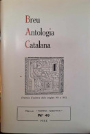 Terra Nostra - 49 - Breu Antologia Catalana - Languedoc-Roussillon