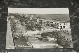 A1822  Viareggio   Viali Lungomare - Viareggio