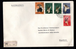 Somalia AFIS, POSTA VIAGGIATA 1960, MARGHERITA PER MOGADISCIO - Somalia (AFIS)