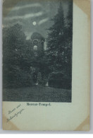 6830 SCHWETZINGEN, Marcur-Tempel, Mondscheinkarte, Ca. 1900 - Schwetzingen