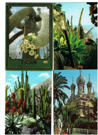 Lot 4 Cpm - CACTUS - Monaco - San Remo église Russe - Tucson - Cactusses