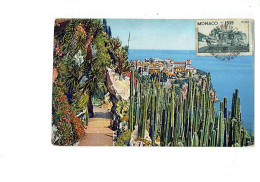 Cpa - - Monaco - Jardin Exotique - CACTUS YUCCAS  - 1939 - Cactussen