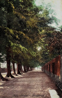 London First Hampstead Heath Foley Avenue Vintage Original Postcard Ak Ca1900 - London Suburbs