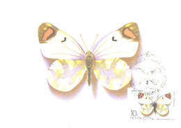 Soviet Union:USSR:Russia:Maxi Card, Butterfly, Zegris Eupheme Esp., 1986 - Papillons