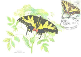 Ukraine:Ukraina:Maxi Card, Butterfly, Papilio Machaon, 2004 - Papillons