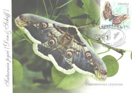 Ukraine:Ukraina:Maxi Card, Butterfly, Saturnia Pyri, 2005 - Papillons