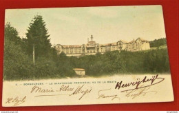 BORGOUMONT - LA GLEIZE - STOUMONT -  Le Sanatorium De Borgoumont Vu De La Route -  1905 - Stoumont