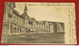 BORGOUMONT - LA GLEIZE - STOUMONT -  Le Sanatorium De Borgoumont - Les Promenoirs  -  1905 - Stoumont
