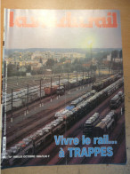 Vie Du Rail 1965 1984 Trappes Gare Triage Depot Castillon Lithographe Besançon Ozoir La Ferriere - Trains