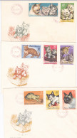 ANIMALS, MAMMALS, CATS, DOMESTIC CATS, DIFFERENT BREEDS, COVER FDC, 3X, 1965, ROMANIA - Chats Domestiques