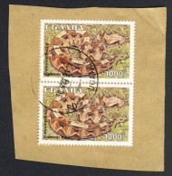 Uganda 1995, 2 Stamps On A Piece Of Paper, Wild Animals: Snake (o), Used - Kenya, Uganda & Tanganyika