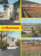 CPM . MULTIVUES " SOUVENIR DE LA CRAU - LA MOUTONNE " CARTE AFFR AU VERSO LE 1-8-1991 .  2 SCANNES - La Crau