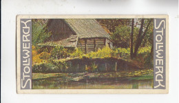 Stollwerck Album No 7 Spreewald Altes Wendenhaus Am Totzkefliess     Grp 308#3 Von 1904/05 - Stollwerck