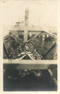 081023 - CARTE PHOTO MILITAIRE CIMETIERE TOMBE - 412e RI PEM 1920 Mort Pourla France - BONNEROT - Cimetières Militaires