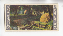 Stollwerck Album No 7 Spreewald Altwendisches Gehöft In Leipe      Grp 308#5 Von 1904/05 - Stollwerck