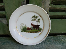 Ancienne Assiette Porcelaine De Paris XIXème Décor Chèvre Avec Son Petit. - Altri & Non Classificati